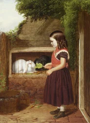 Fodring af kaninerne, 1868