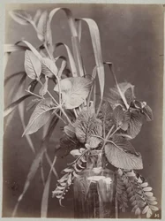 Blomsterstudie med glasflaske
