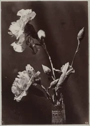 Blomsterstudie med glasvase