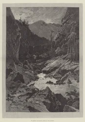 Wild Darrie, af Christie Murray og H Herman