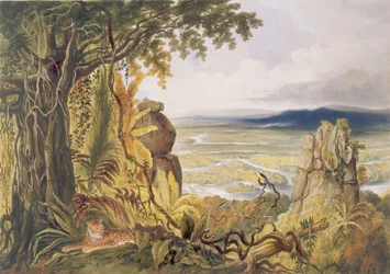 Comuti- eller Taquiare-klippen ved Essequibo-floden, fra «Udsigter i Guyanas indre», graveret af George Barnard (aktiv 1832-90), udgivet af Ackermann, 1840