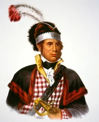 Chief McIntosh, illustration fra 