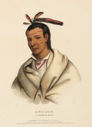 A-MIS-QUAM, A WINNEBAGO BRAVE, fra History of Indian Tribes of North America