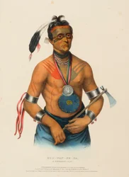 HOO-WAN-NE-KA, EN WINNEBAGO-HØFDE, fra History of the Indian Tribes of North America