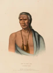 LAP-PA-WIN-SOE. A DELAWARE CHIEF, fra History of the Indian Tribes of North America