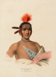 MOA-NA-HON-GA. DEN STORE VANDRER. AN IOWAY CHIEF, fra History of the Indian Tribes of North America