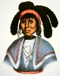 Micanopy (d.1849) c.1826 (farve litho)