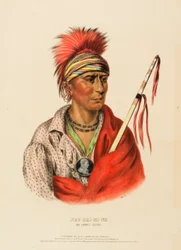 NOT-CHI-MI-NE. AN IOWAY CHIEF, fra History of the Indian Tribes of North America