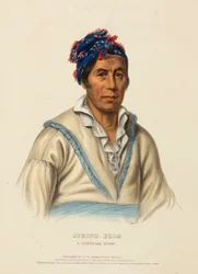 SPRING FROG. A CHEROKEE CHIEF, fra Historien om indianerstammerne i Nordamerika