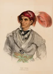 Tah-Chee (hollandsk), en cherokee-høvding, fra History of the Indian Tribes of North America