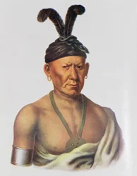 Wakechai eller 