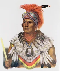 Wapella eller Foxernes fyrstelige høvding, 1837, illustration fra «Nordamerikas indianerstammer, bind 2», af Thomas L. McKenney og James Hall, udgivet af John Grant