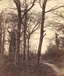 Vinter, 1855.