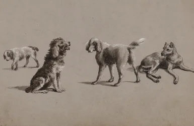 Undersøgelser af hunde (pen, pensel, blæk og gouache på papir)