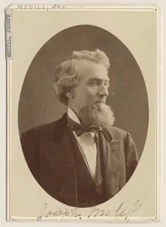 Portræt af Joseph Medill, ca. 1876
