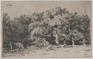 Et hjørne af skoven Fontainebleau (radering)