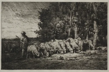 En flok i udkanten af en skov