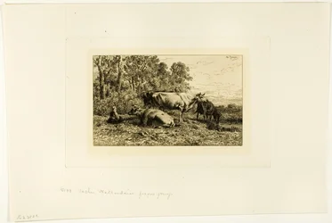 hollandske køer