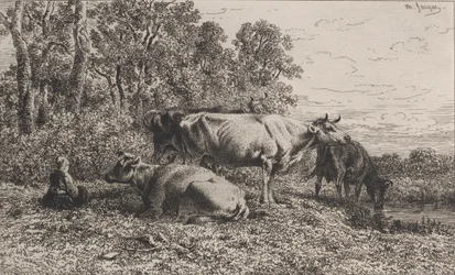 Hollandske køer, 1864.