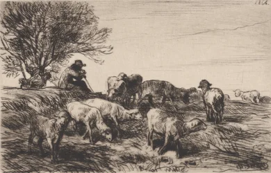 Fårebesætning, 1864.