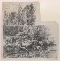 Hyrde og kvæg ved Ford, ca. 1850.