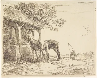Heste i en stald, 1800-tallet (cliché verre eller heliograf)