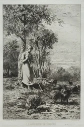 Tyrkiernes vogter
