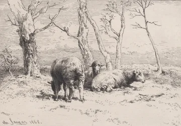 Får, 1868.
