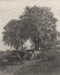 Hvile, 1864.