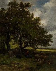 Landligt landskab