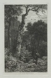 Jagt på skovsneppe