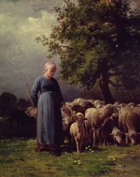 Den forsvundne flok