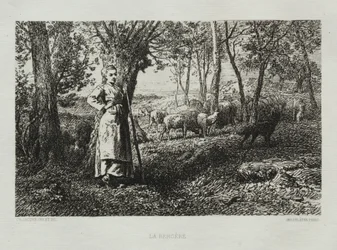 Hyrdinden.