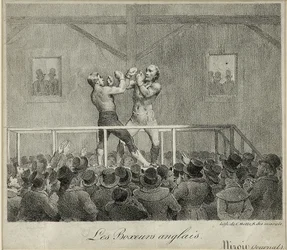 Engelske boksere (litho)