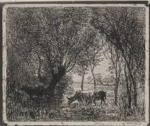 Køer i skoven, originalt aftryk 1862, trykt i 1921.