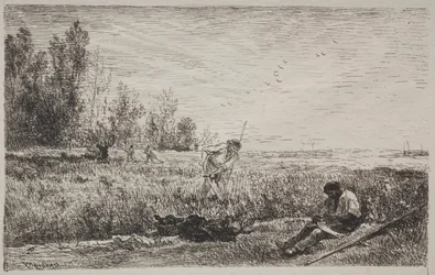 Høfremstilling