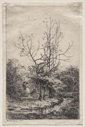 Frugthaven