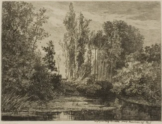 Hjorte ved vandkanten