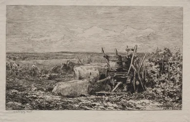 Druehøsten