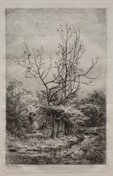 Frugthaven