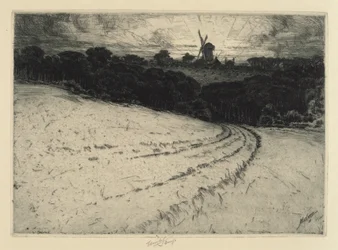 Morgen, Canonicut Island, 1908.