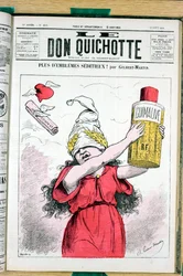 Cover af "" Le Don Quixote"", nummer 215, Satirique en Colours