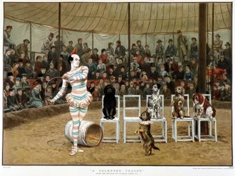 De lærde hunde: cirkusscene med klovn og hunde - efter Charles Green, engelsk chromo 1885. ¿De lærde hunde: cirkusscene med klovn og hunde - efter Charles Green, engelsk chromo 1885. ¿