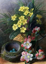 Æbleblomster og primula. Stilleben med en rede og blomster. Maleri af Charles Henry Slater (1820-1890) Privat samling