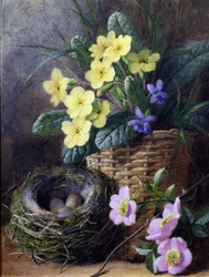 Stilleben med primula, violer og roser. Stilleben med rede, æg og blomster. Maleri af Charles Henry Slater (1820-1890) Privat samling