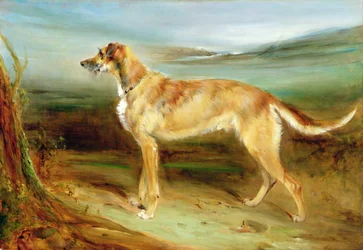 En hjortehund i et landskab (olie på lærred)