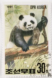 Frimærke/Nordkorea/Ailuropoda melanoleuca/Grand panda/Giant Panda