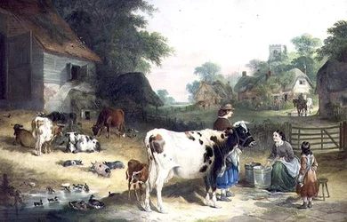 Landssladder