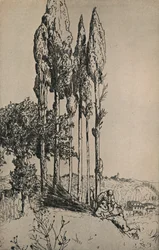 Cyprestræer nær Siena, 1903