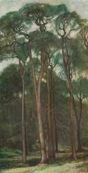 Studie af træer, c1900 1903-1904